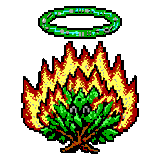 The burning bush of the Faith