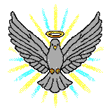 The dove: we praise